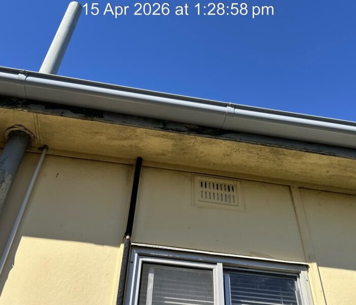 results after rooftop work in sydney city
